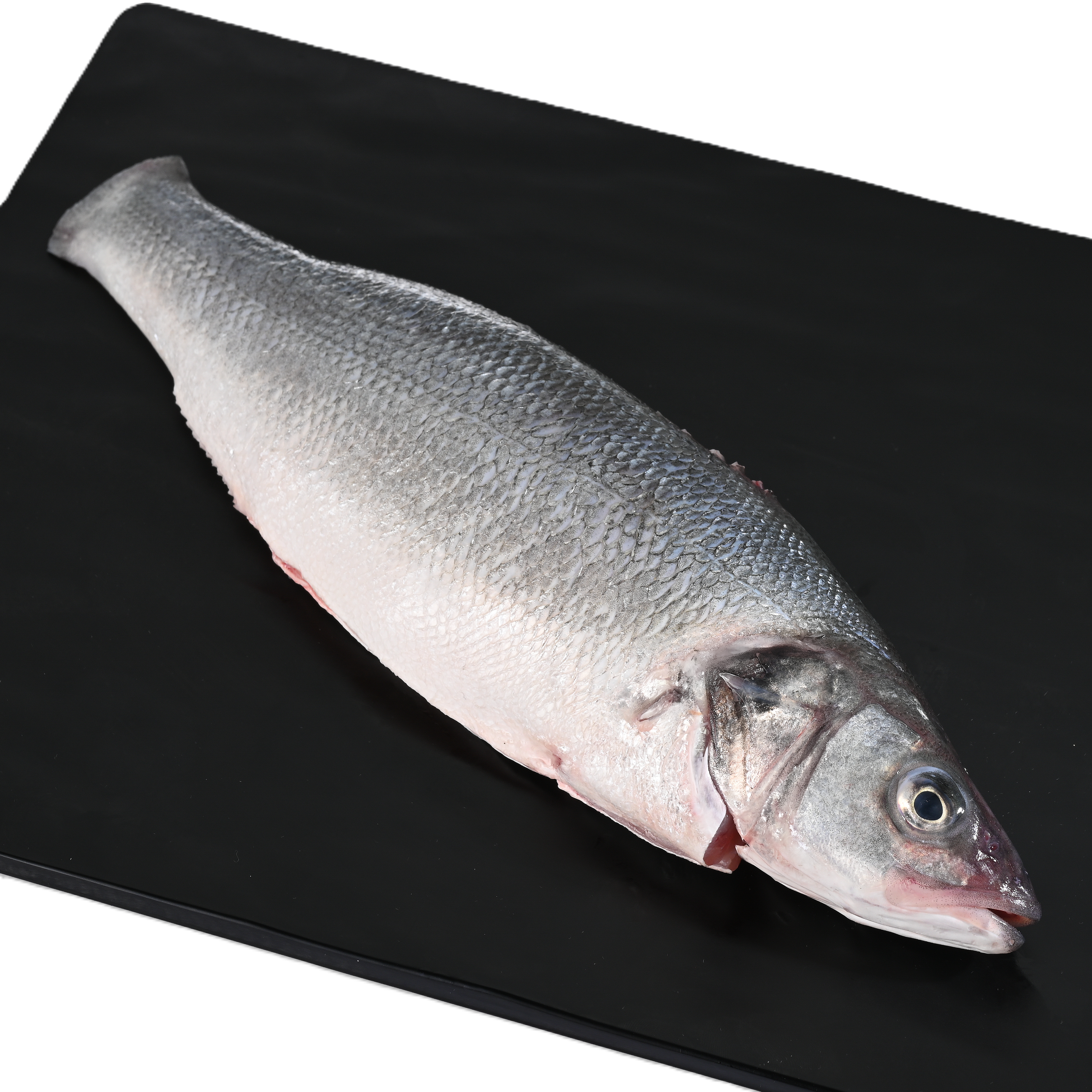 Sea Bass Cleaned
