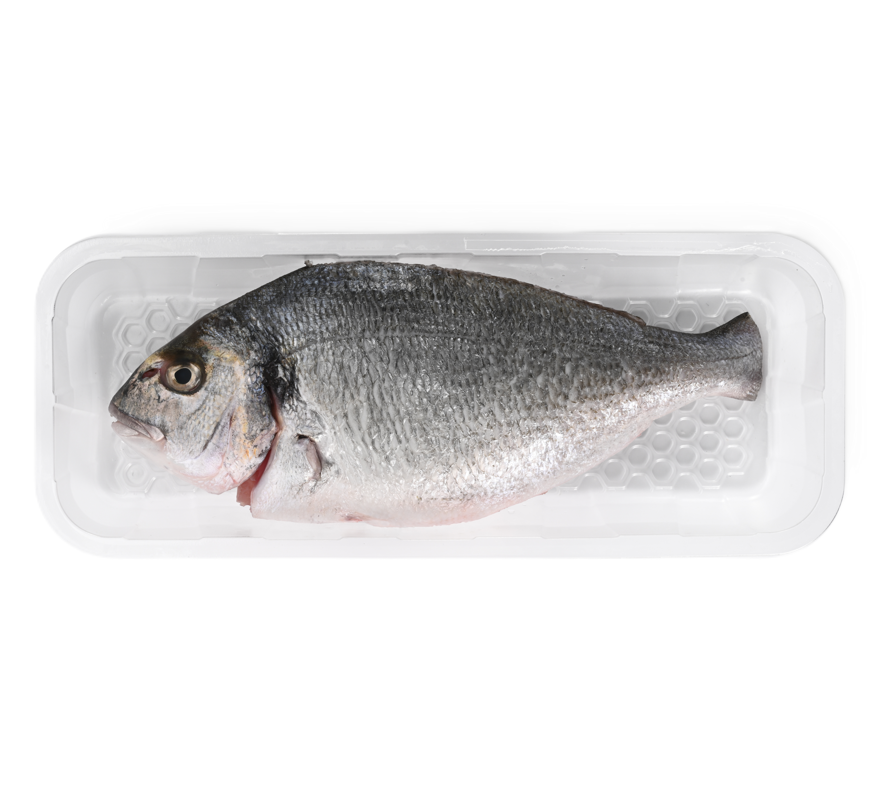 Sea Bream Cleaned