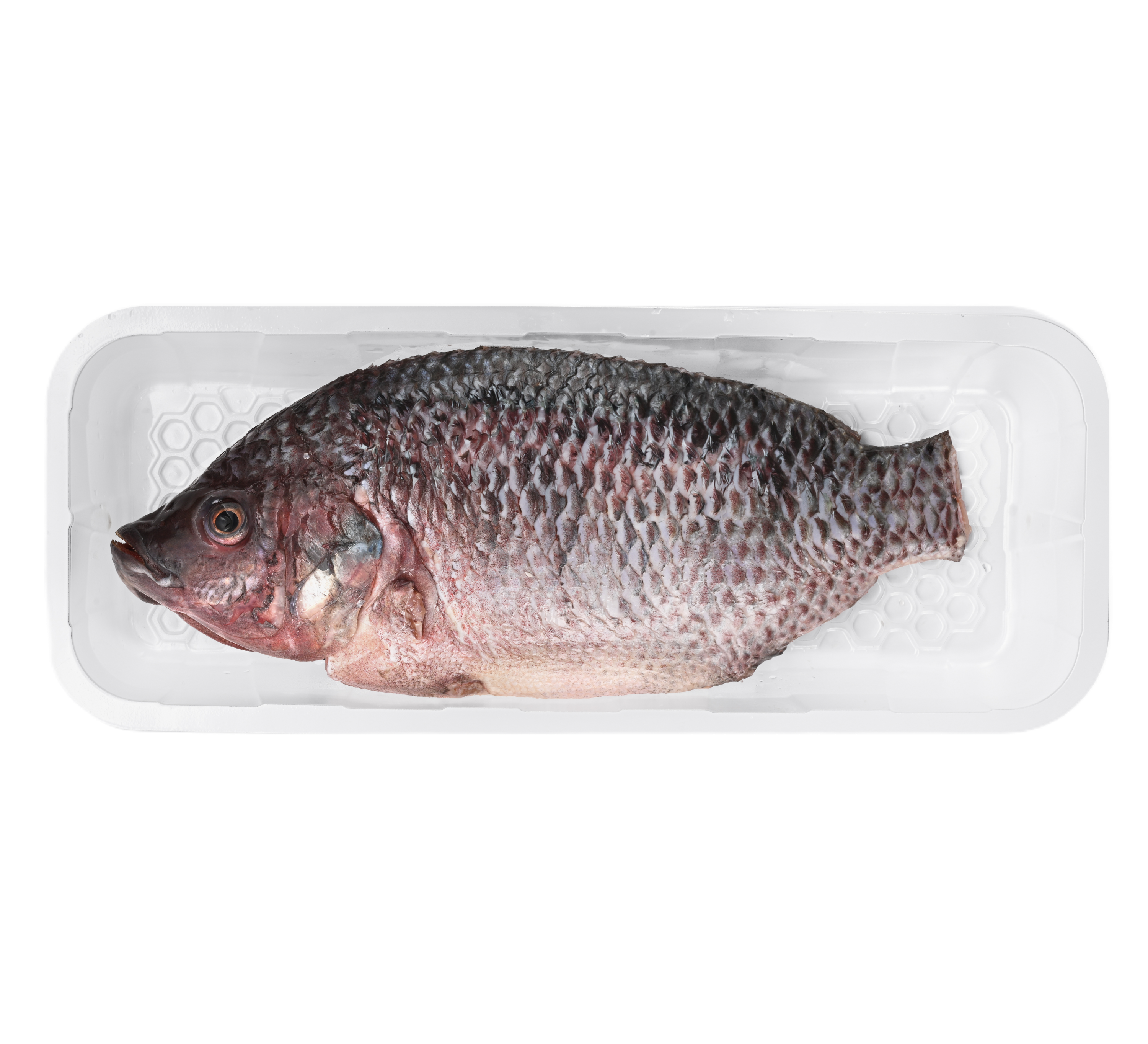 Tilapia Cleaned