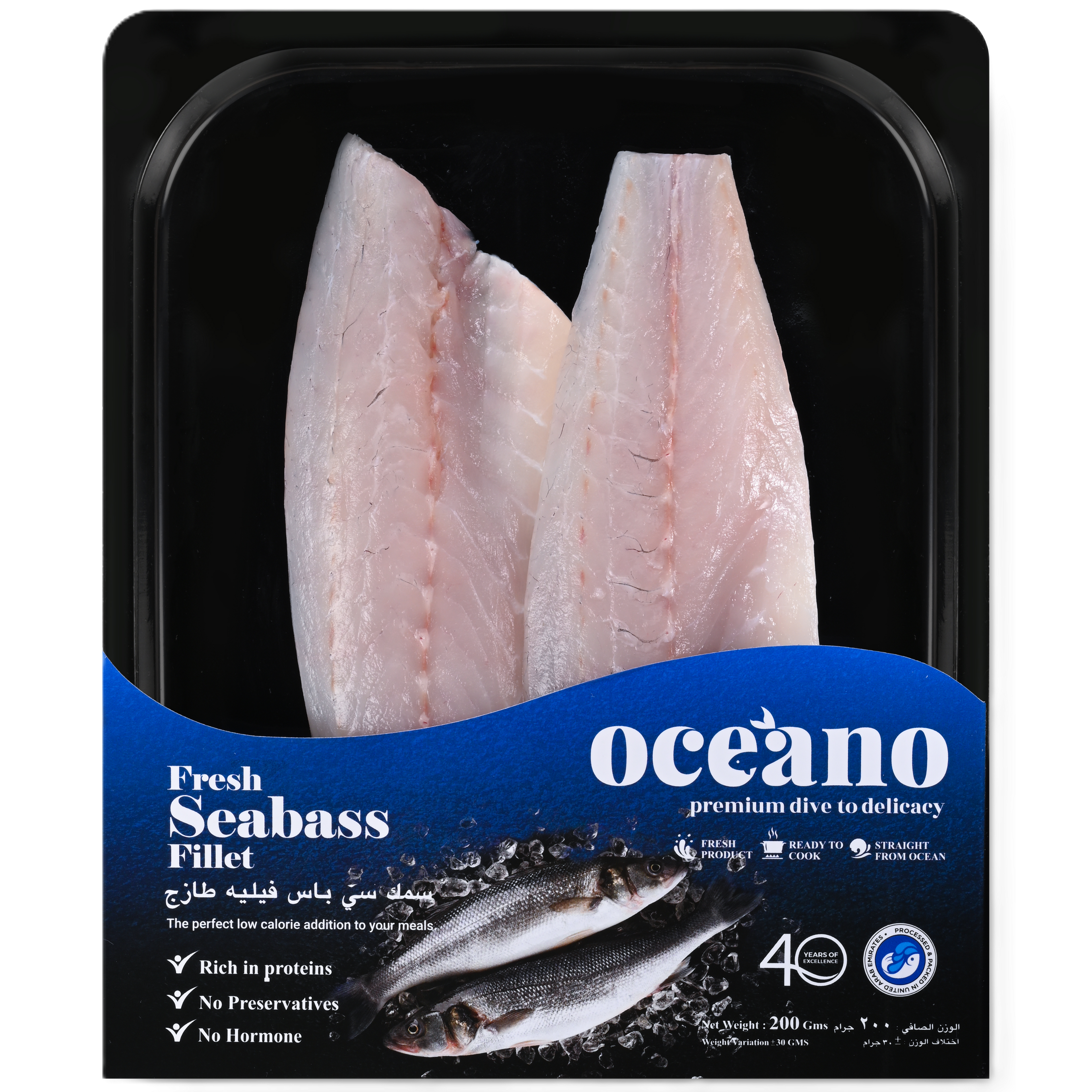 Seabass Fillet